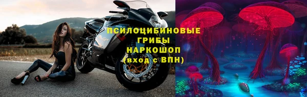 крисы Козельск