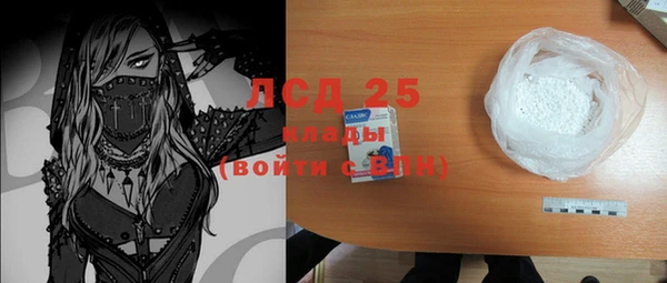 крисы Козельск
