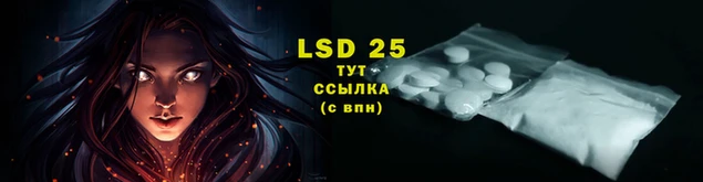 винт Козловка