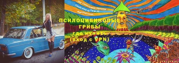 крисы Козельск