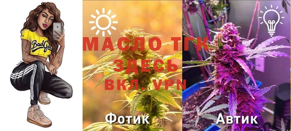крисы Козельск