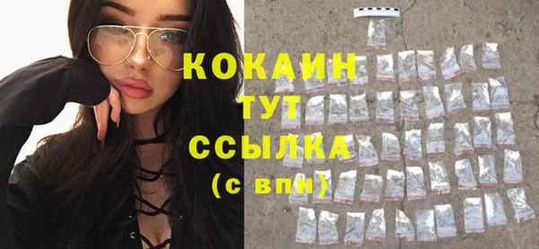 крисы Козельск