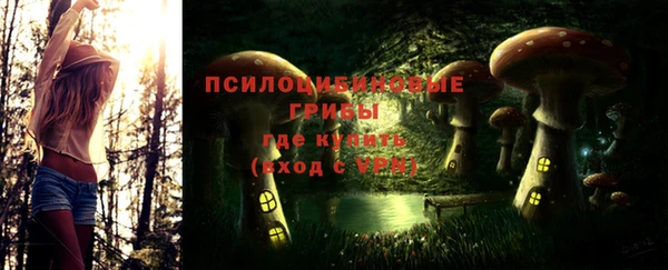 винт Козловка