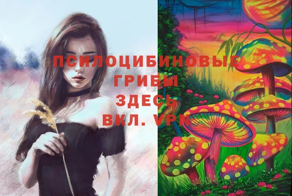 крисы Козельск