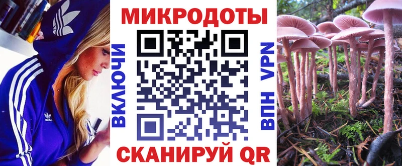 Купить закладки  Можайск  Галлюциногенные грибы Cubensis 